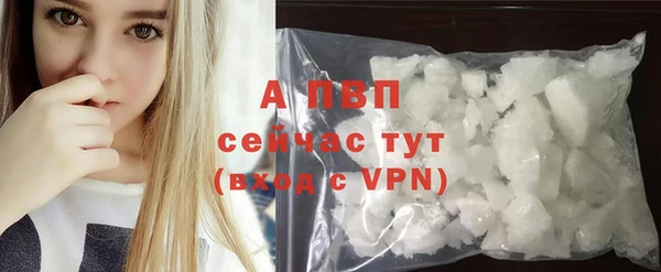 хмурый Бородино