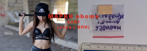 хмурый Бородино
